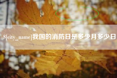 德阳我国的消防日是多少月多少日