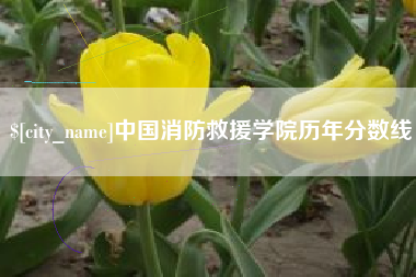 德阳中国消防救援学院历年分数线