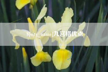 德阳九宫格优点