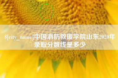 德阳中国消防救援学院山东2020年录取分数线是多少