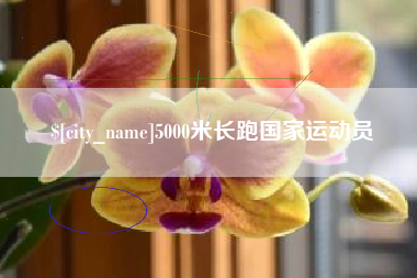 德阳5000米长跑国家运动员