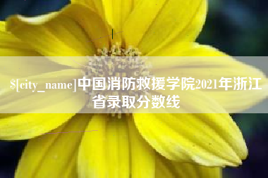 德阳中国消防救援学院2021年浙江省录取分数线