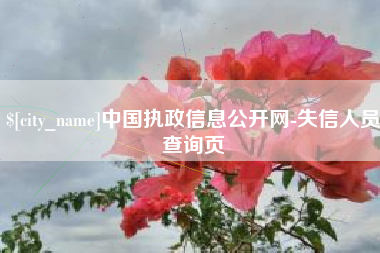 德阳中国执政信息公开网-失信人员查询页