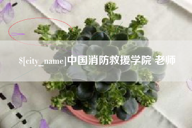 德阳中国消防救援学院 老师