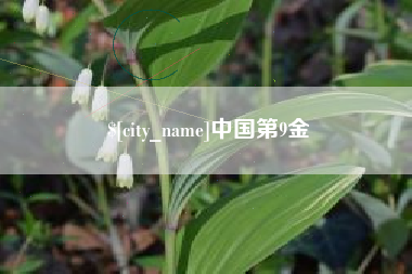 德阳中国第9金