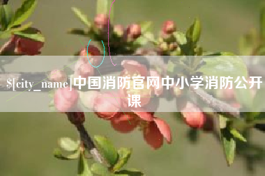 德阳中国消防官网中小学消防公开课
