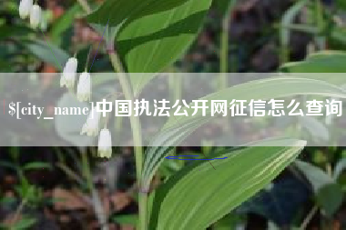 德阳中国执法公开网征信怎么查询