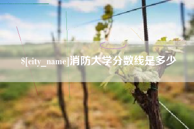 德阳消防大学分数线是多少