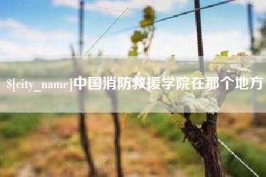 德阳中国消防救援学院在那个地方