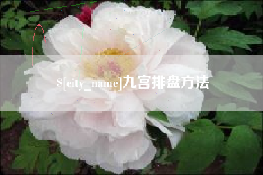 德阳九宫排盘方法