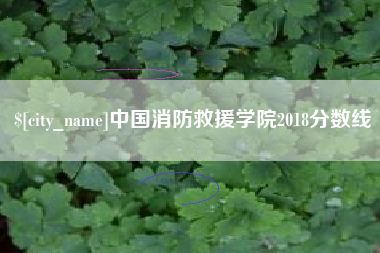 德阳中国消防救援学院2018分数线