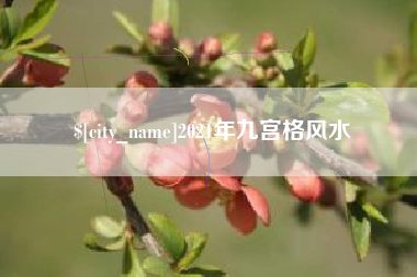 德阳2021年九宫格风水