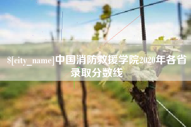 德阳中国消防救援学院2020年各省录取分数线