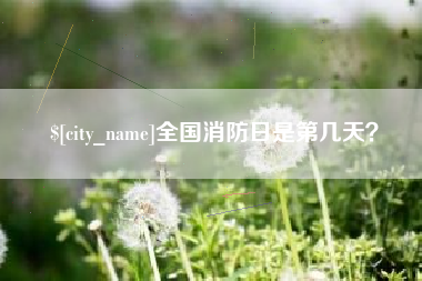 德阳全国消防日是第几天？