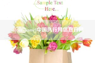 德阳中国执行网信息官网