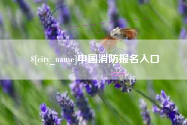 德阳中国消防报名入口