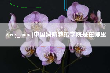 德阳中国消防救援学院是在哪里
