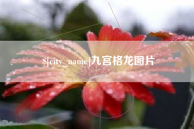德阳九宫格龙图片