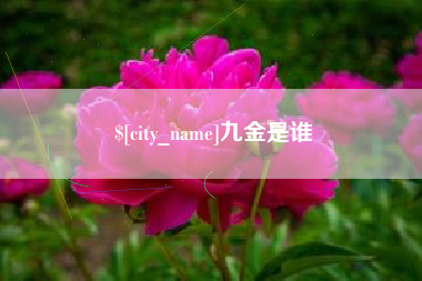 德阳九金是谁