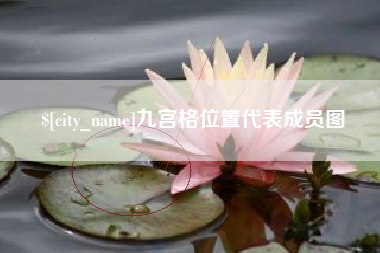 德阳九宫格位置代表成员图