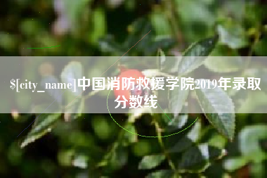 德阳中国消防救援学院2019年录取分数线