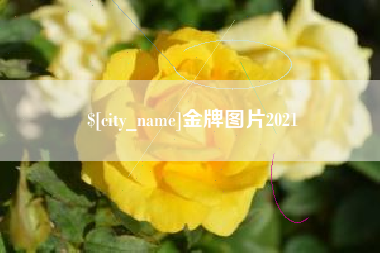 德阳金牌图片2021