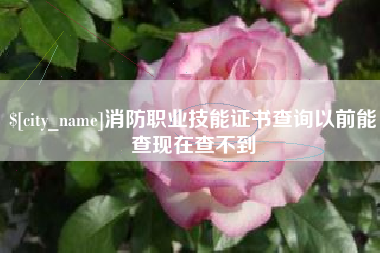 德阳消防职业技能证书查询以前能查现在查不到