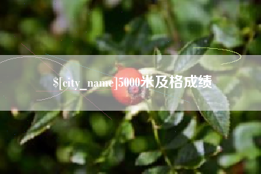 德阳5000米及格成绩
