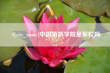 德阳中国消防学院是军校吗