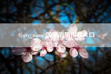 德阳国家消防报名入口