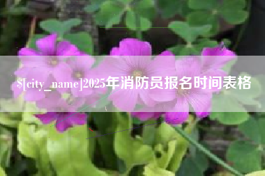 德阳2025年消防员报名时间表格