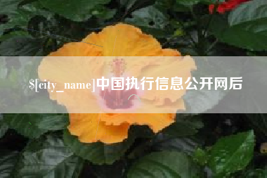 德阳中国执行信息公开网后