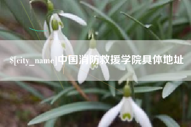 德阳中国消防救援学院具体地址