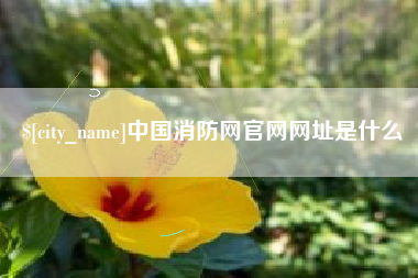 德阳中国消防网官网网址是什么