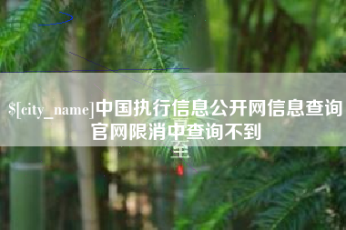 德阳中国执行信息公开网信息查询官网限消中查询不到