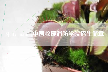 德阳中国救援消防学院招生简章