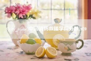 德阳中国消防救援学院分数2020