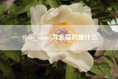 德阳九金指的是什么
