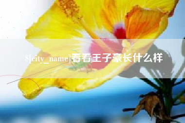 德阳看看王子豪长什么样