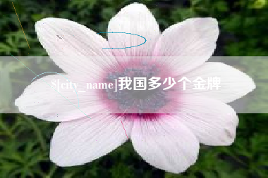 德阳我国多少个金牌