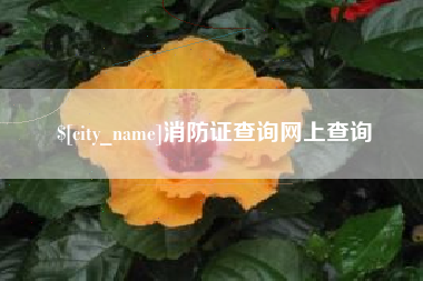 德阳消防证查询网上查询