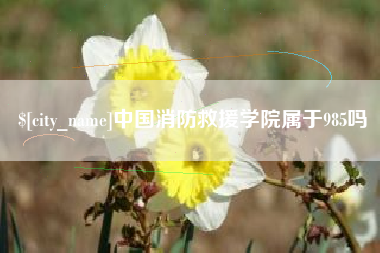 德阳中国消防救援学院属于985吗