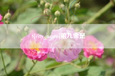 德阳第九金是
