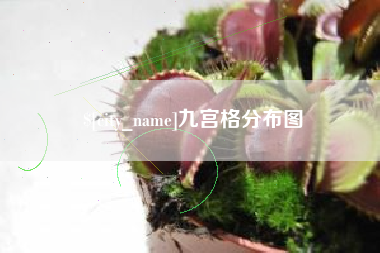 德阳九宫格分布图