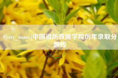 德阳中国消防救援学院历年录取分数线