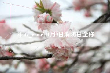 德阳11月9日消防日全称