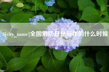 德阳全国消防日是每年的什么时候