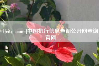 德阳中国执行信息查询公开网查询官网