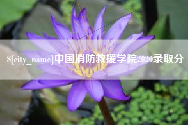 德阳中国消防救援学院2020录取分