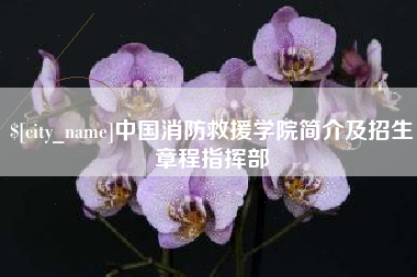 德阳中国消防救援学院简介及招生章程指挥部